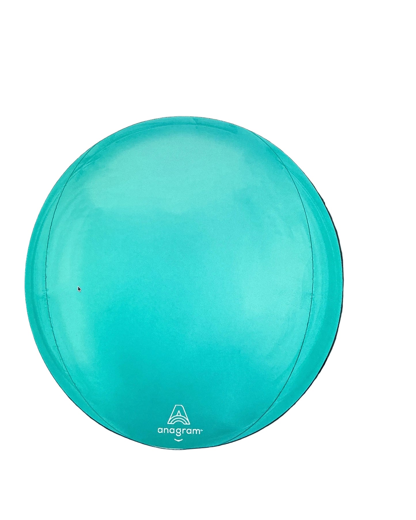 Turquoise frisbee with a logo on a computer screen