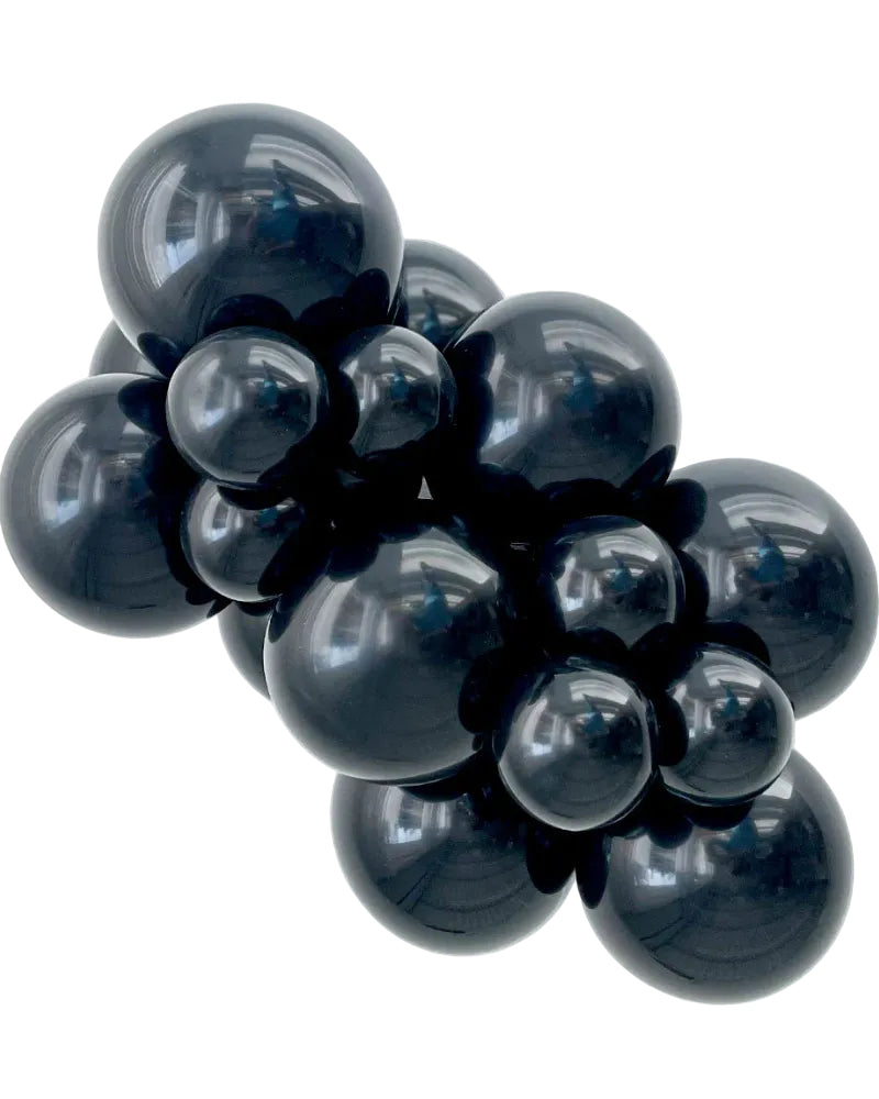 Cluster of dark blue grapes on a white background